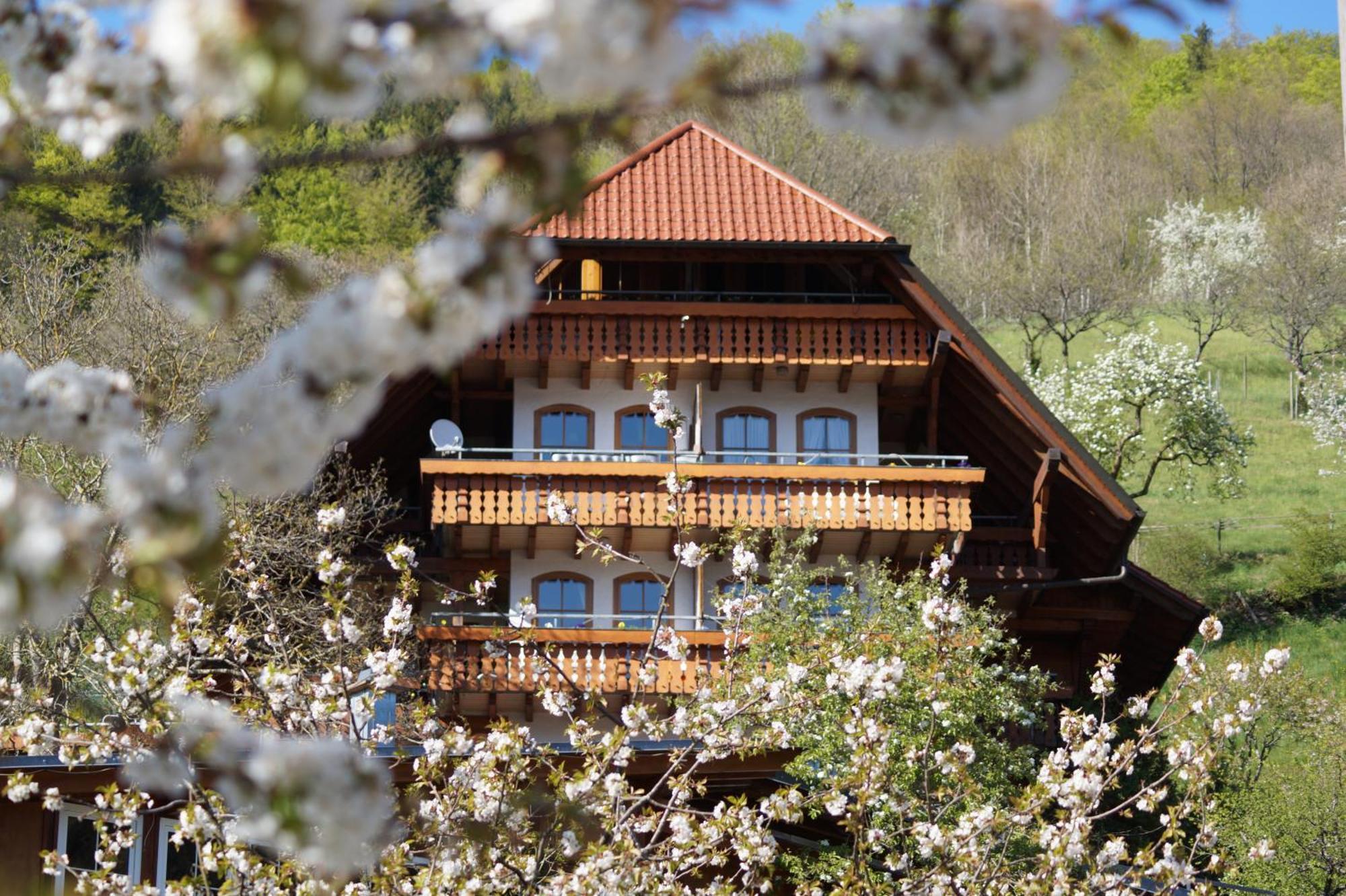 Kurparkhotel Faisst Bad Peterstal-Griesbach Esterno foto