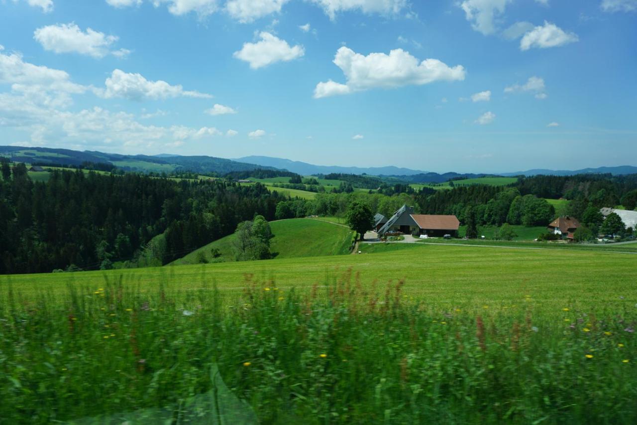 Kurparkhotel Faisst Bad Peterstal-Griesbach Esterno foto