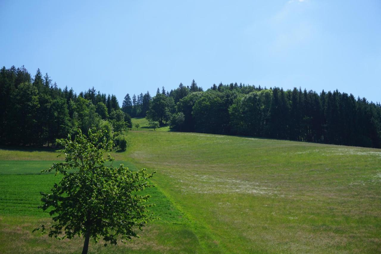 Kurparkhotel Faisst Bad Peterstal-Griesbach Esterno foto