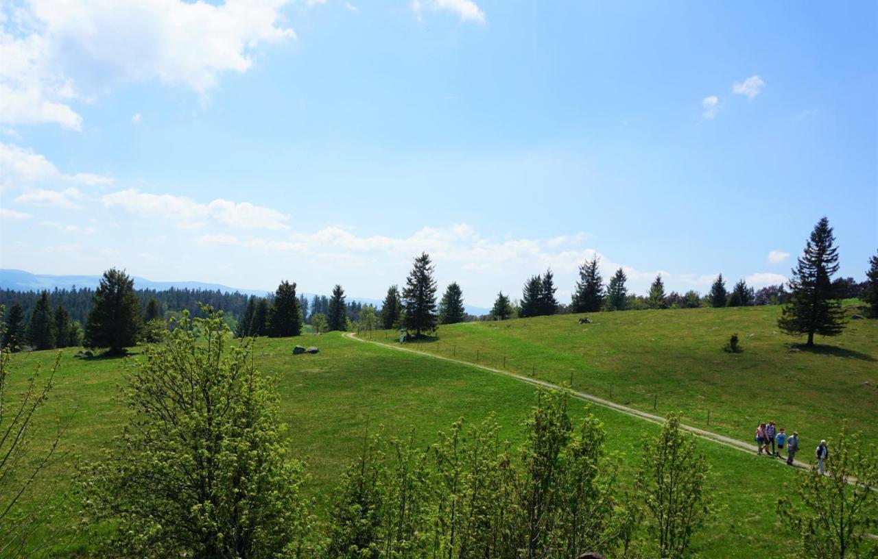 Kurparkhotel Faisst Bad Peterstal-Griesbach Esterno foto