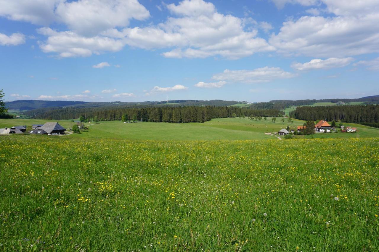 Kurparkhotel Faisst Bad Peterstal-Griesbach Esterno foto